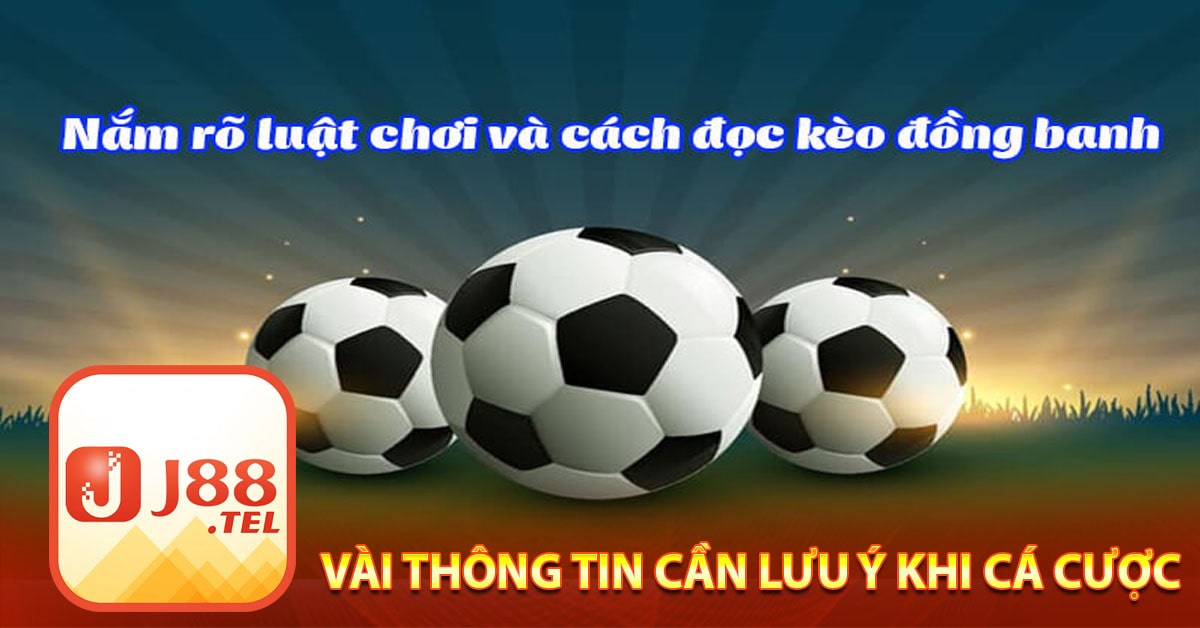 Vài thông tin cần lưu ý khi cá cược